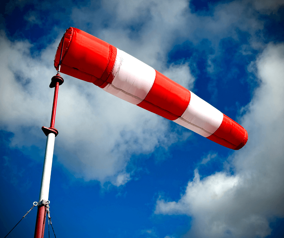 Comment protéger vos poubelles du vent